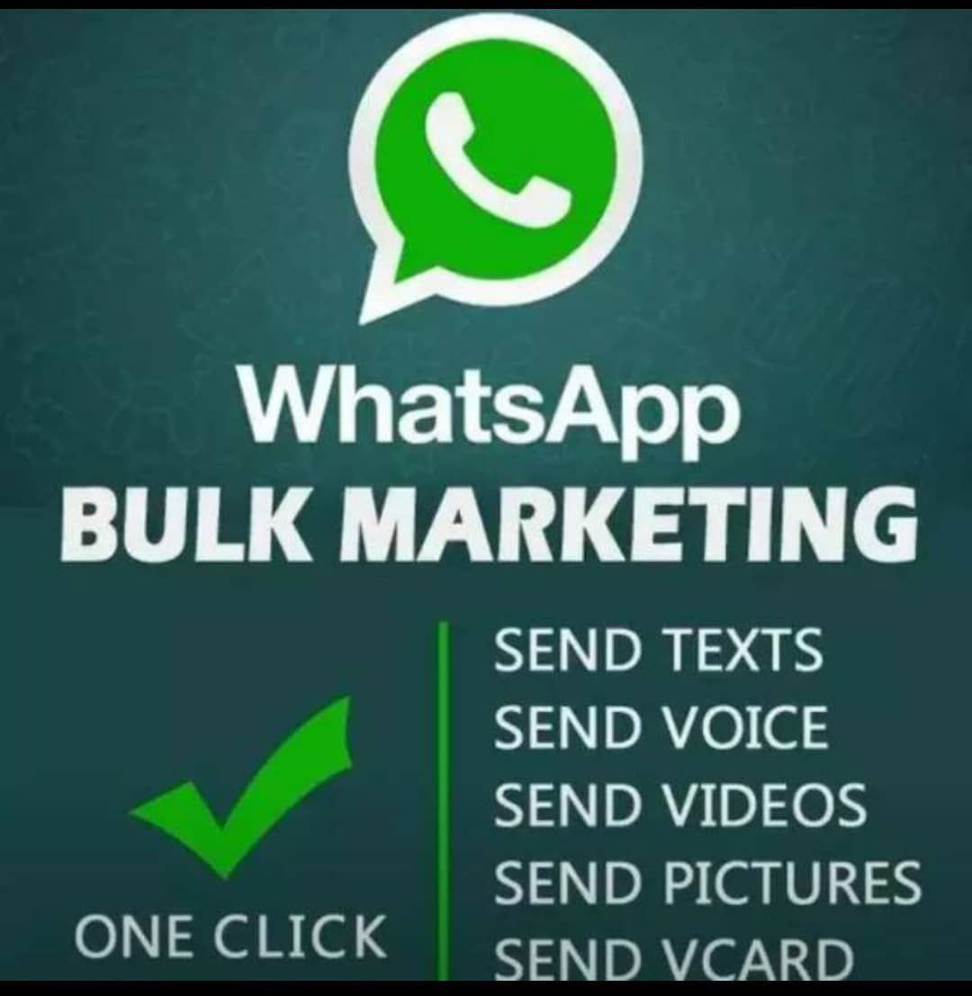 bulk whatsapp